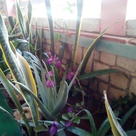 Residence A Paz Sal Rei Zewnętrze zdjęcie