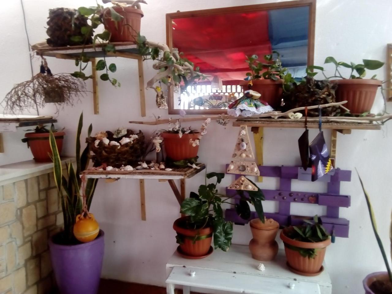 Residence A Paz Sal Rei Zewnętrze zdjęcie