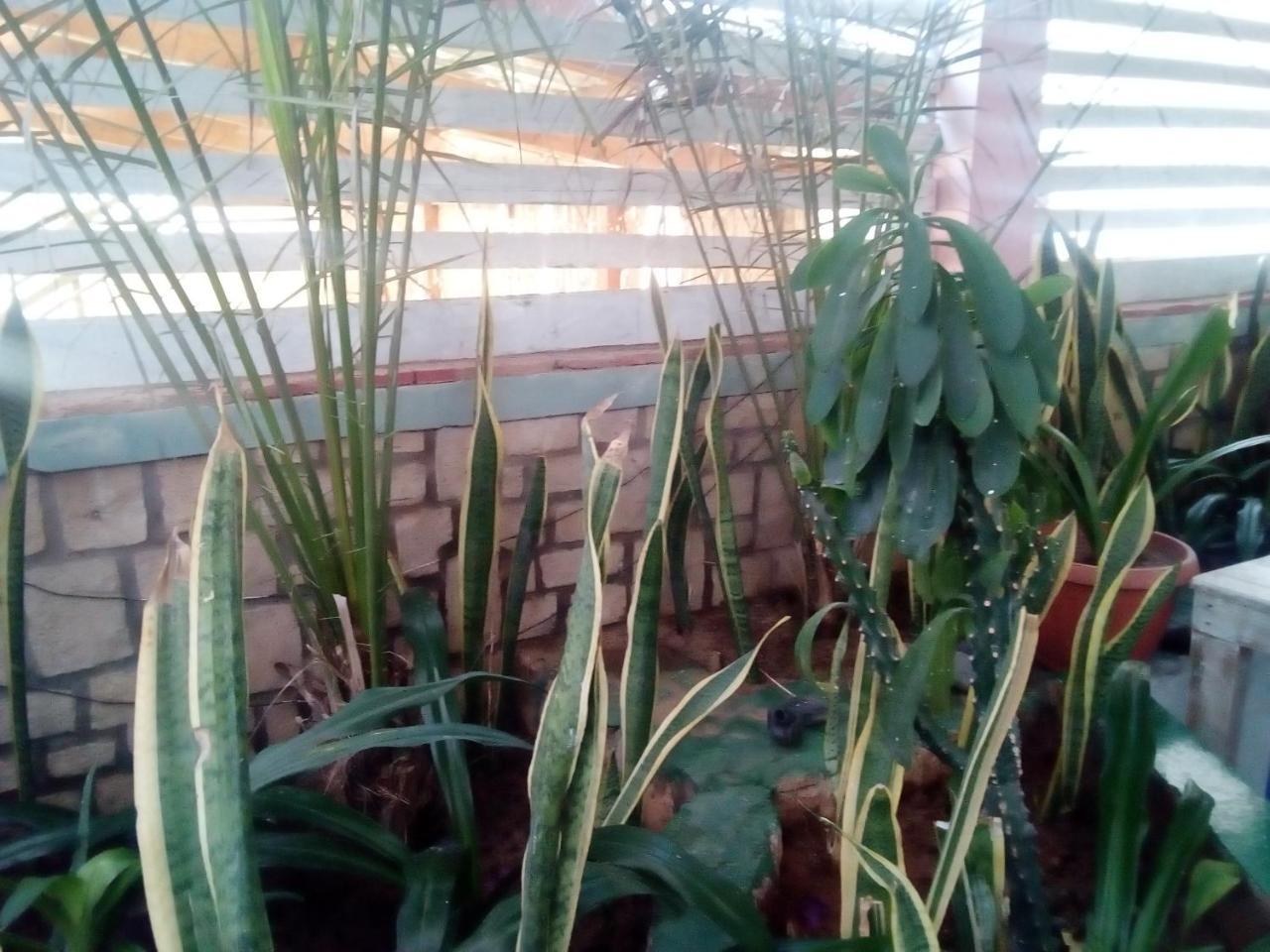 Residence A Paz Sal Rei Zewnętrze zdjęcie